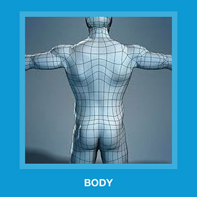  Body 