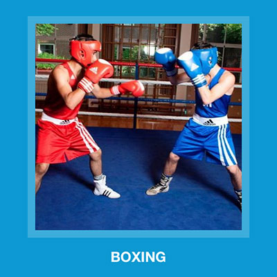  Boxing 