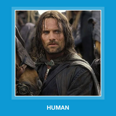  Human 