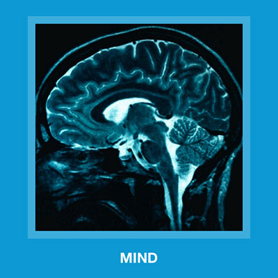  Mind 