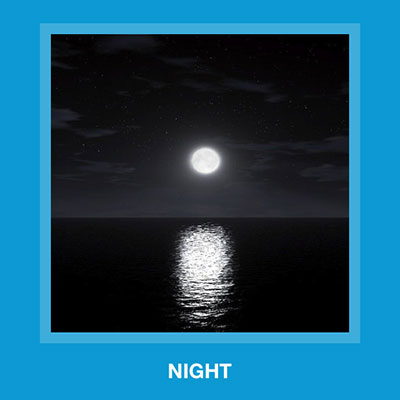  Night 