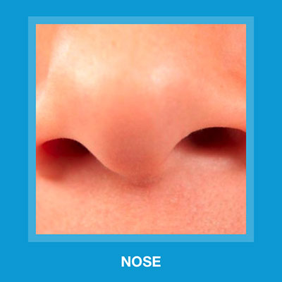  Nose 