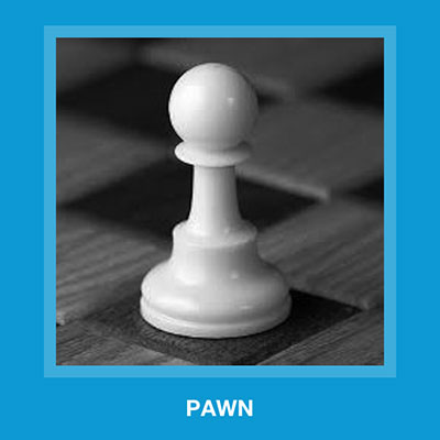  Pawn 