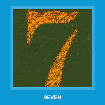  Seven 