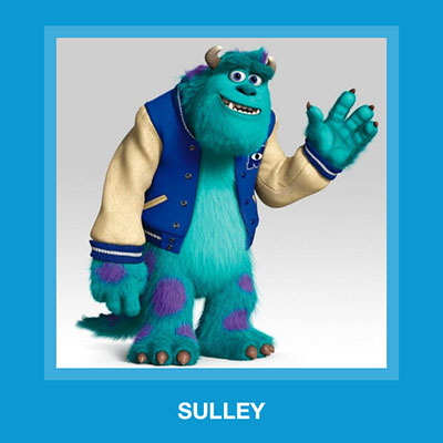  Sulley 