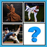  Karate 