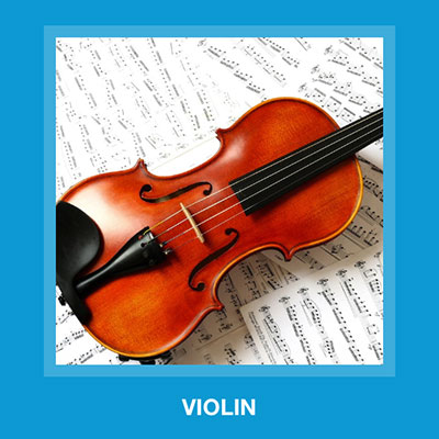 Violin 