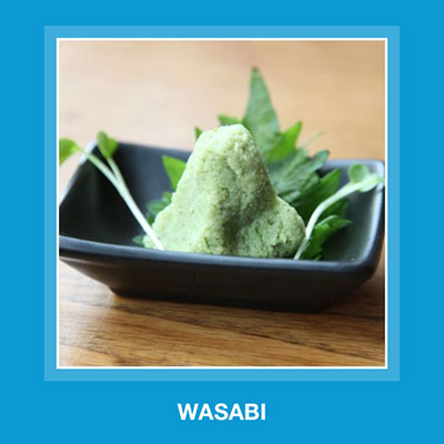  Wasabi 