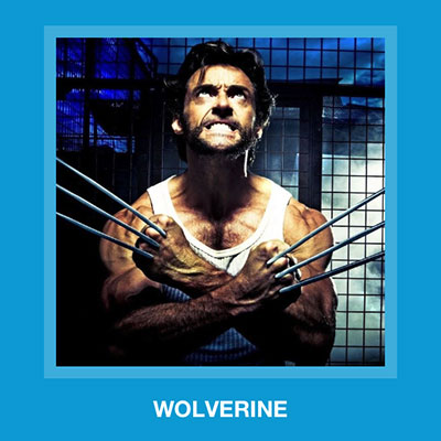  Wolverine 